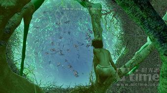 少年的奇幻漂流在线观看,一场惊心动魄的冒险之旅 第1张 少年的奇幻漂流在线观看,一场惊心动魄的冒险之旅 第1张