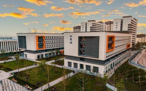 重庆大学城最新爆料 第1张 重庆大学城最新爆料 第1张